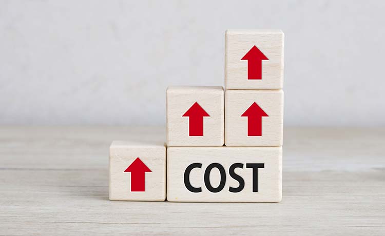 運営費として月額料金が要る制作会社が少なくない